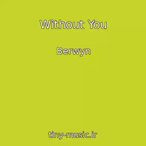 کاور آهنگ Without You از Berwyn
