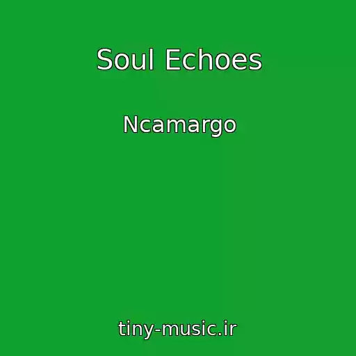 کاور آهنگ Soul Echoes از Ncamargo