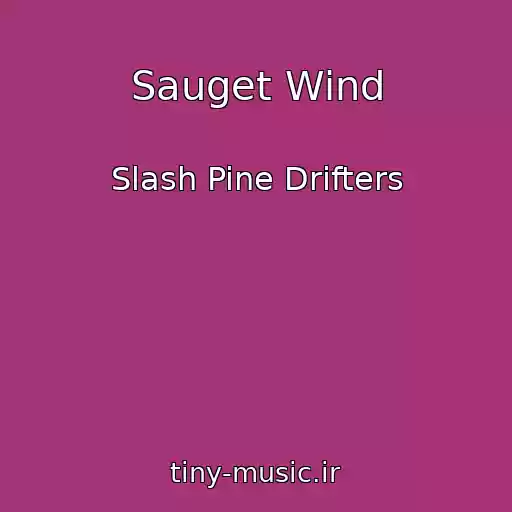 کاور آهنگ Sauget Wind از Slash Pine Drifters