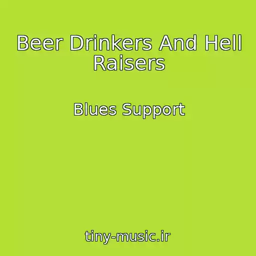 کاور آهنگ Beer Drinkers And Hell Raisers از Blues Support