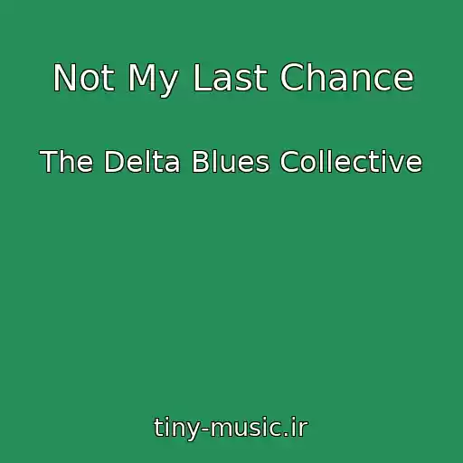 کاور آهنگ Not My Last Chance از The Delta Blues Collective