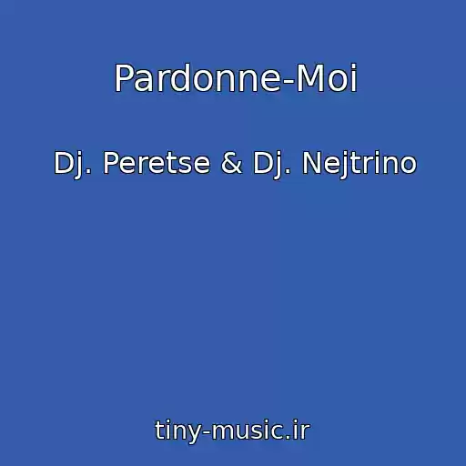کاور آهنگ Pardonne-Moi از Dj. Peretse & Dj. Nejtrino