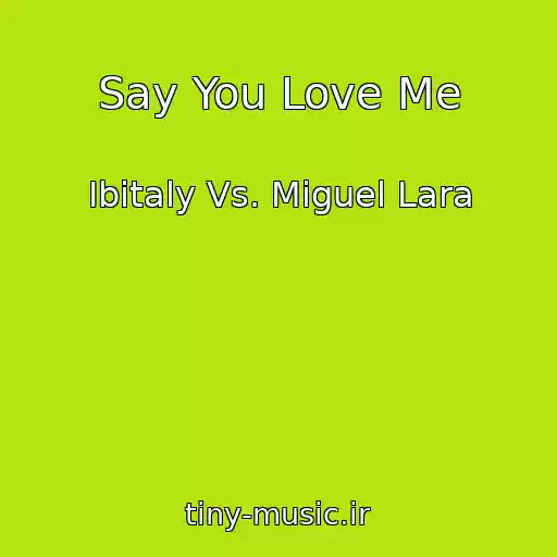کاور آهنگ Say You Love Me از Ibitaly Vs. Miguel Lara