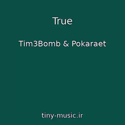 کاور آهنگ True از Tim3Bomb & Pokaraet