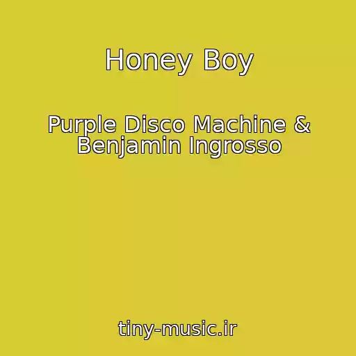 کاور آهنگ Honey Boy از Purple Disco Machine & Benjamin Ingrosso