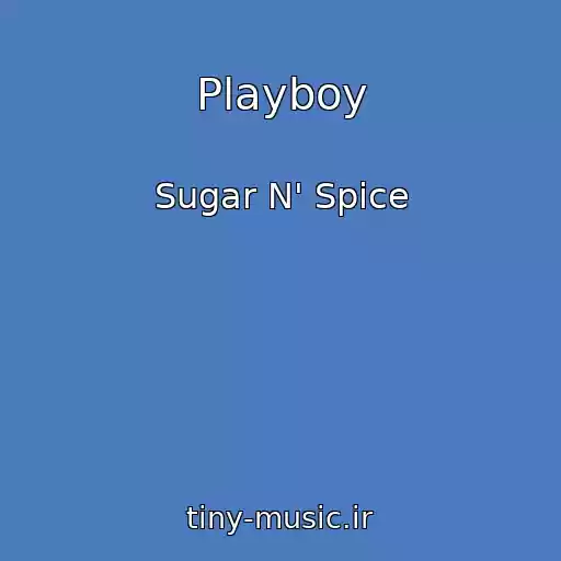 کاور آهنگ Playboy از Sugar N' Spice