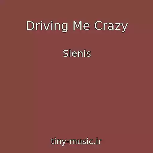 کاور آهنگ Driving Me Crazy از Sienis