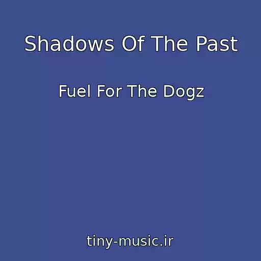 کاور آهنگ Shadows Of The Past از Fuel For The Dogz