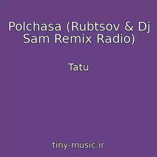 کاور آهنگ Polchasa (Rubtsov & Dj Sam Remix Radio) از Tatu