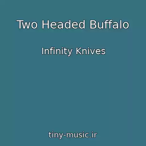 کاور آهنگ Two Headed Buffalo از Infinity Knives