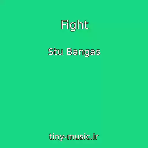 کاور آهنگ Fight از Stu Bangas
