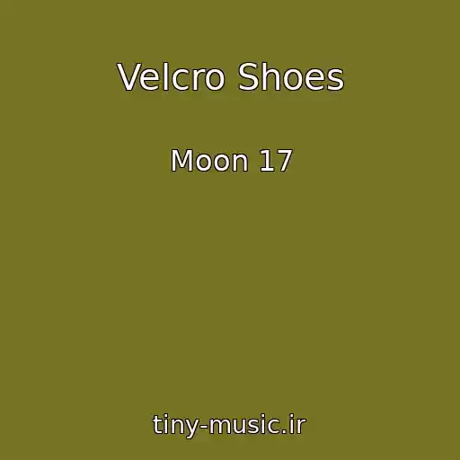 کاور آهنگ Velcro Shoes از Moon 17