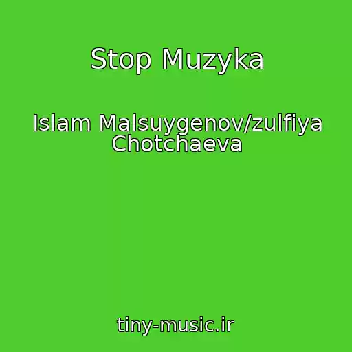 کاور آهنگ Stop Muzyka از Islam Malsuygenov/zulfiya Chotchaeva
