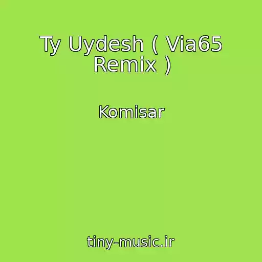 کاور آهنگ Ty Uydesh ( Via65 Remix ) از Komisar