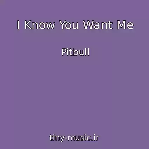 کاور آهنگ I Know You Want Me از Pitbull