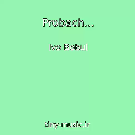 کاور آهنگ Probach... از Іvo Bobul