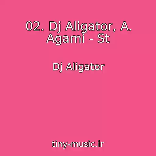 کاور آهنگ 02. Dj Aligator, A. Agami - St از Dj Aligator