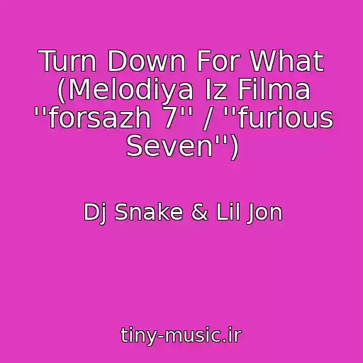 کاور آهنگ Turn Down For What (Melodiya Iz Filma ''forsazh 7'' / ''furious Seven'') از Dj Snake & Lil Jon