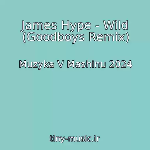 کاور آهنگ James Hype - Wild (Goodboys Remix) از Muzyka V Mashinu 2024