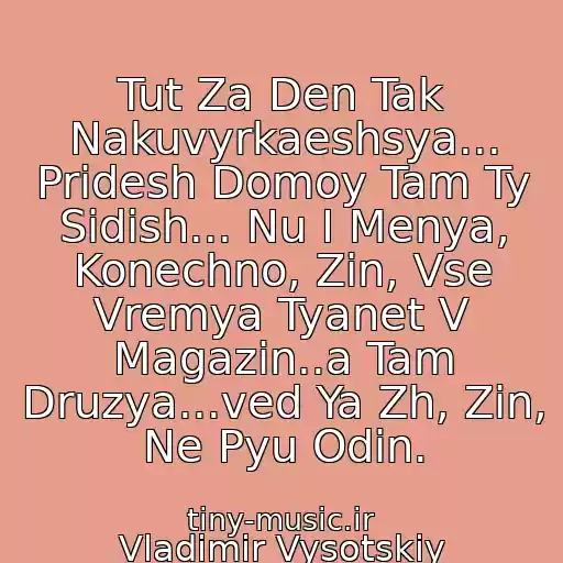 کاور آهنگ Tut Za Den Tak Nakuvyrkaeshsya... Pridesh Domoy Tam Ty Sidish... Nu I Menya, Konechno, Zin, Vse Vremya Tyanet V Magazin..a Tam Druzya...ved Ya Zh, Zin, Ne Pyu Odin. از Vladimir Vysotskiy