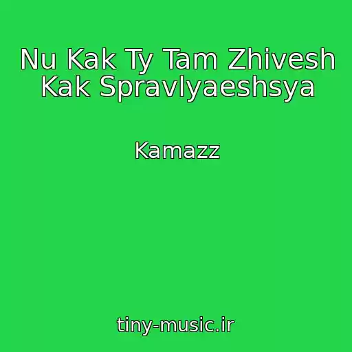 کاور آهنگ Nu Kak Ty Tam Zhivesh Kak Spravlyaeshsya از Kamazz