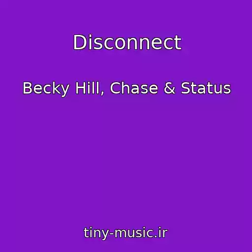 کاور آهنگ Disconnect از Becky Hill, Chase & Status