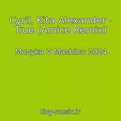 کاور آهنگ Cyril, Kita Alexander - True (Amice Remix) از Muzyka V Mashinu 2024