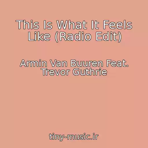 کاور آهنگ This Is What It Feels Like (Radio Edit) از Armin Van Buuren Feat. Trevor Guthrie