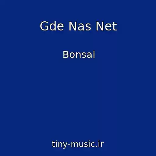 کاور آهنگ Gde Nas Net از Bonsai