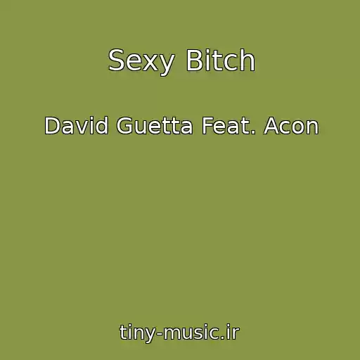 کاور آهنگ Sexy Bitch از David Guetta Feat. Acon