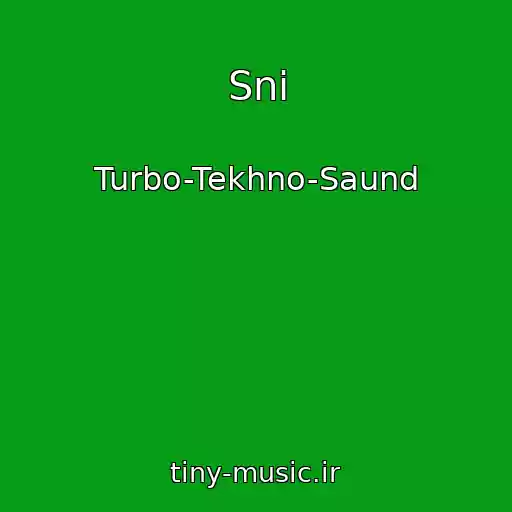 کاور آهنگ Sni از Turbo-Tekhno-Saund