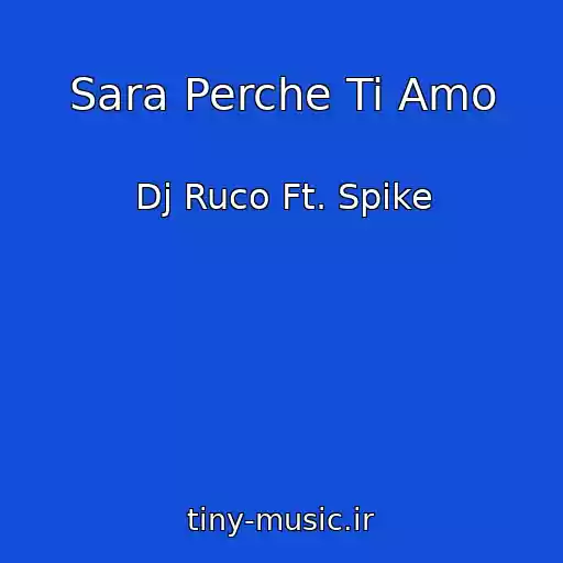 کاور آهنگ Sara Perche Ti Amo از Dj Ruco Ft. Spike