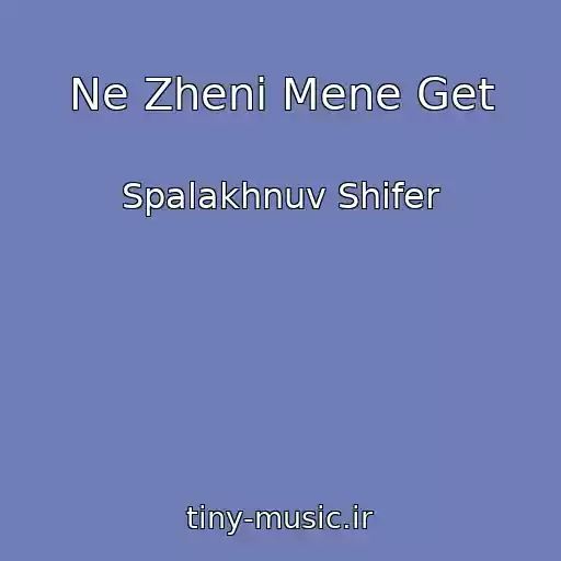 کاور آهنگ Ne Zheni Mene Get از Spalakhnuv Shifer
