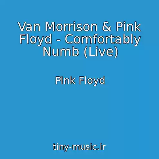 کاور آهنگ Van Morrison & Pink Floyd - Comfortably Numb (Live) از Pink Floyd