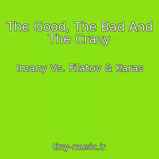 کاور آهنگ The Good, The Bad And The Crazy از Imany Vs. Filatov & Karas