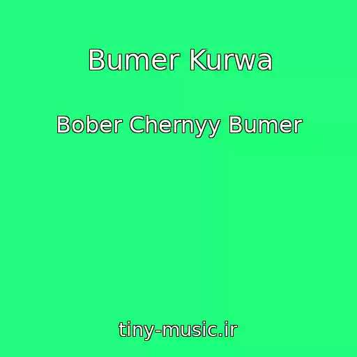 کاور آهنگ Bumer Kurwa از Bober Chernyy Bumer