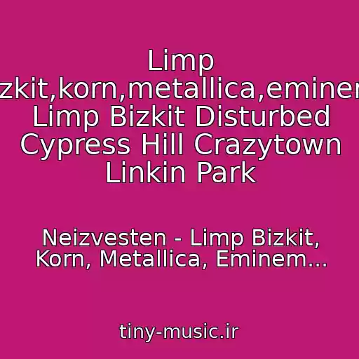 کاور آهنگ Limp Bizkit,korn,metallica,eminem- Limp Bizkit Disturbed Cypress Hill Crazytown Linkin Park از Neizvesten - Limp Bizkit, Korn, Metallica, Eminem...
