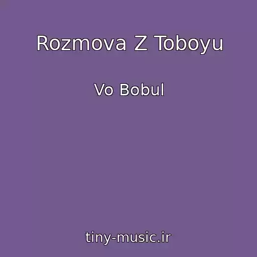 کاور آهنگ Rozmova Z Toboyu از Vo Bobul
