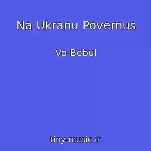 کاور آهنگ Na Ukranu Povernus از Vo Bobul
