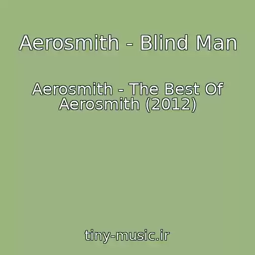 کاور آهنگ Aerosmith - Blind Man از Aerosmith - The Best Of Aerosmith (2012)
