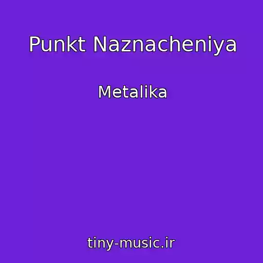 کاور آهنگ Punkt Naznacheniya از Metalika