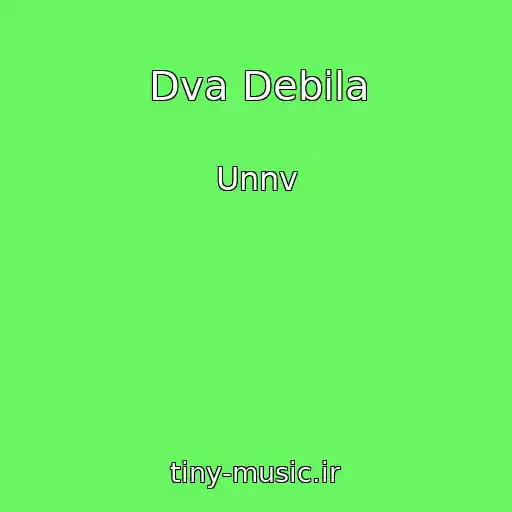 کاور آهنگ Dva Debila از Unnv