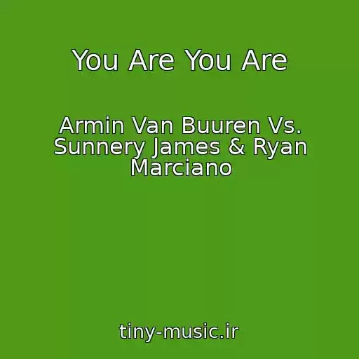 کاور آهنگ You Are You Are از Armin Van Buuren Vs. Sunnery James & Ryan Marciano