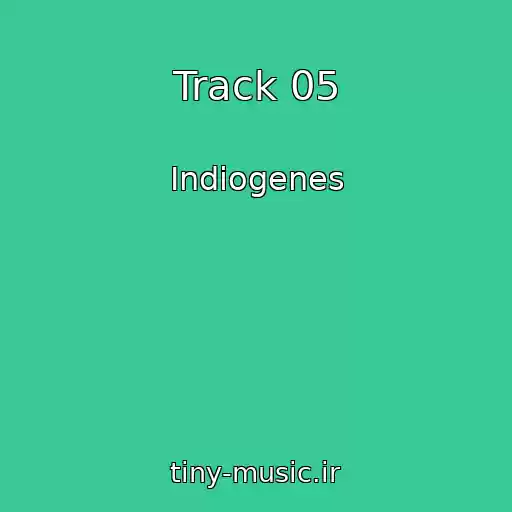 کاور آهنگ Track 05 از Indiogenes
