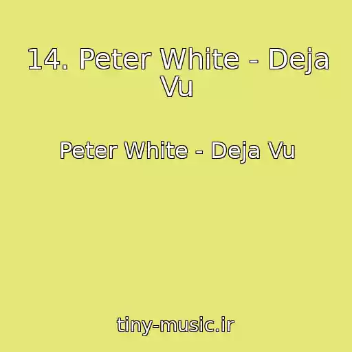 کاور آهنگ 14. Peter White - Deja Vu از Peter White - Deja Vu