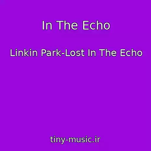 کاور آهنگ In The Echo از Linkin Park-Lost In The Echo