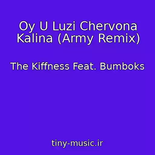 کاور آهنگ Oy U Luzі Chervona Kalina (Army Remix) از The Kiffness Feat. Bumboks