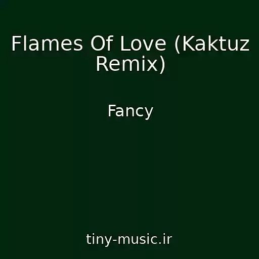 کاور آهنگ Flames Of Love (Kaktuz Remix) از Fancy