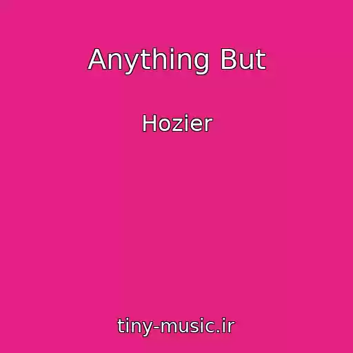 کاور آهنگ Anything But از Hozier