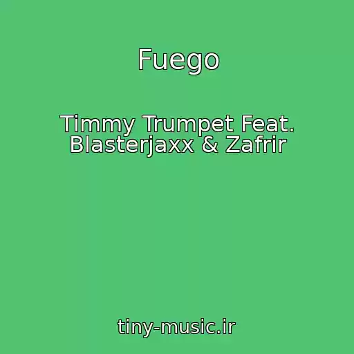 کاور آهنگ Fuego از Timmy Trumpet Feat. Blasterjaxx & Zafrir